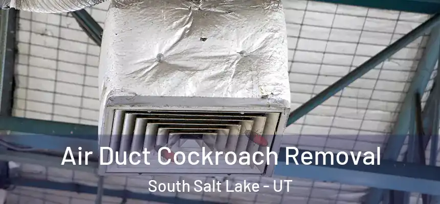  Air Duct Cockroach Removal South Salt Lake - UT