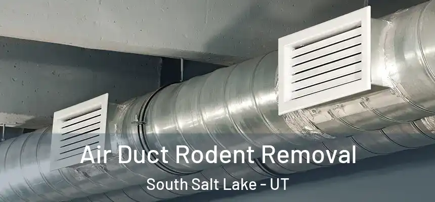 Air Duct Rodent Removal South Salt Lake - UT