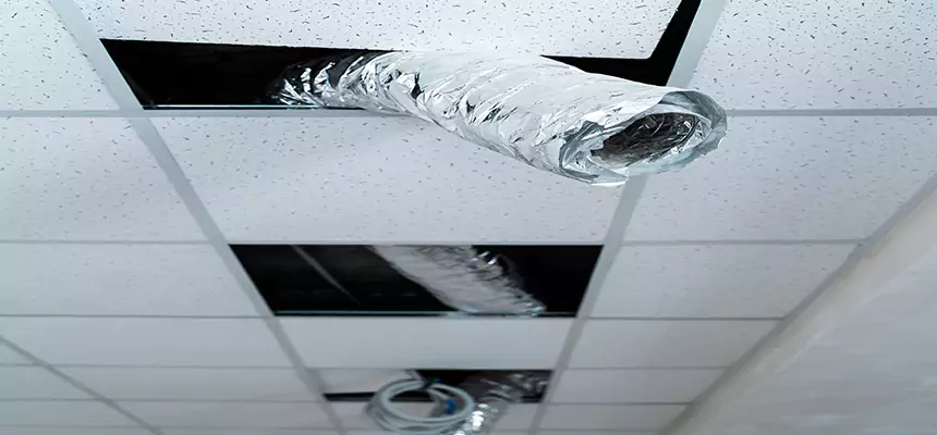 Our Air Duct Pet Hair Removal Services in South Salt Lake, UT