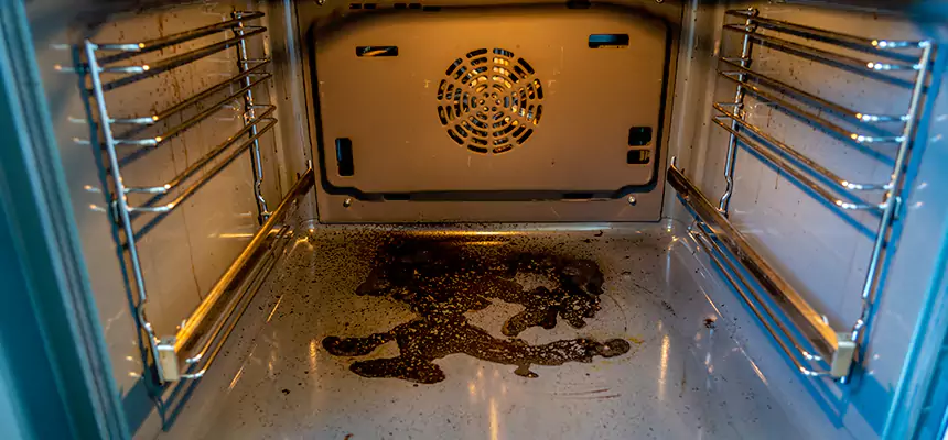 Our Dryer Vent Mold Cleaning Services in South Salt Lake, UT