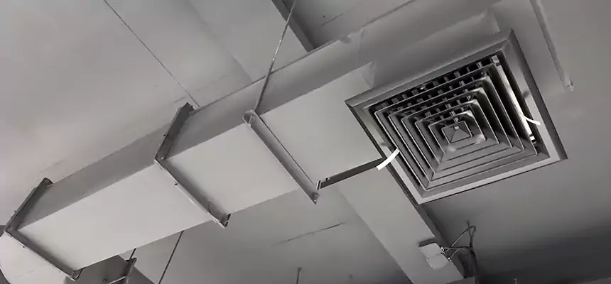 Our Pest Removal From Ducts Services in South Salt Lake, UT