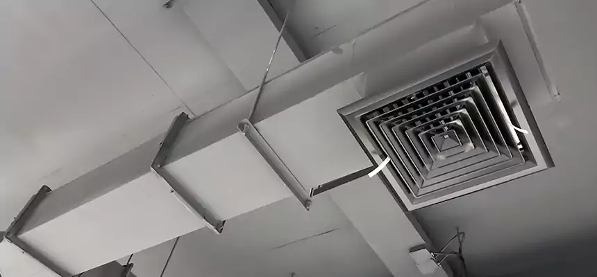 Our Rodent Droppings In Vents Services in South Salt Lake, UT