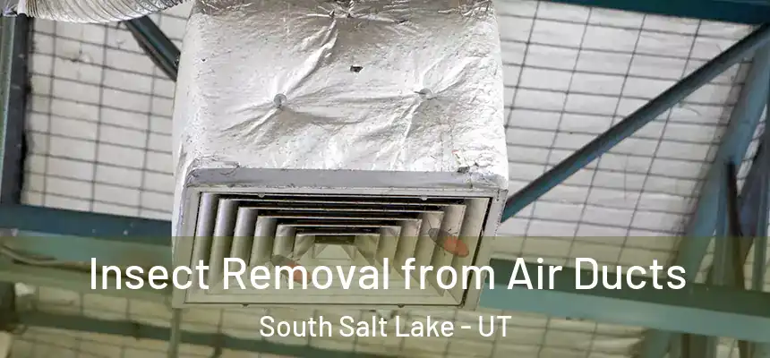 Insect Removal from Air Ducts South Salt Lake - UT