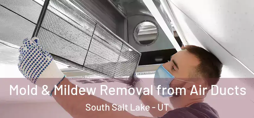  Mold & Mildew Removal from Air Ducts South Salt Lake - UT