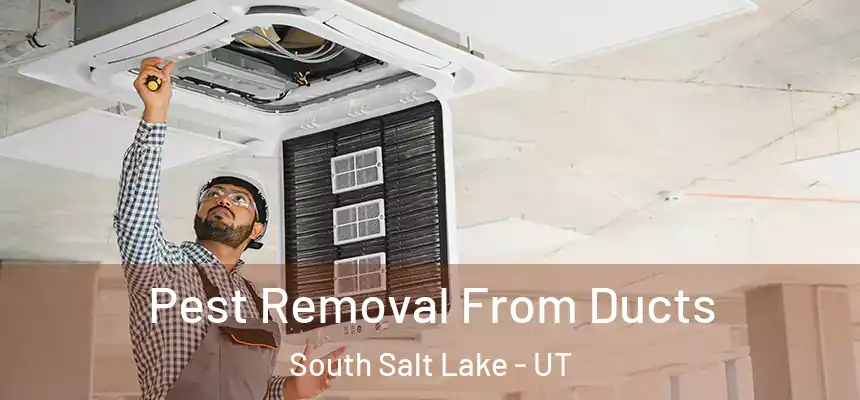  Pest Removal From Ducts South Salt Lake - UT