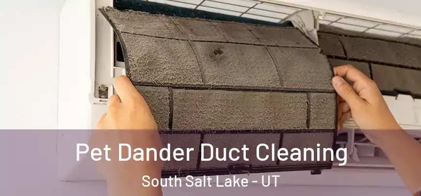 Pet Dander Duct Cleaning South Salt Lake - UT