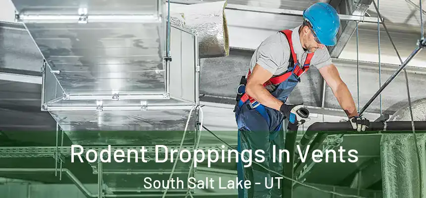  Rodent Droppings In Vents South Salt Lake - UT