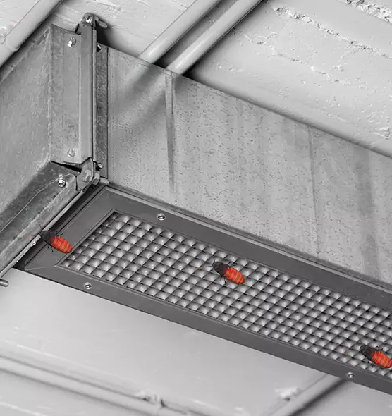 About Air Duct Cockroach Removal in South Salt Lake, UT
