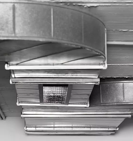 Professional Air Duct Pet Hair Removal in South Salt Lake, UT