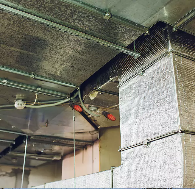 Why Homeowners & Businesses Trust Us in South Salt Lake, UT?