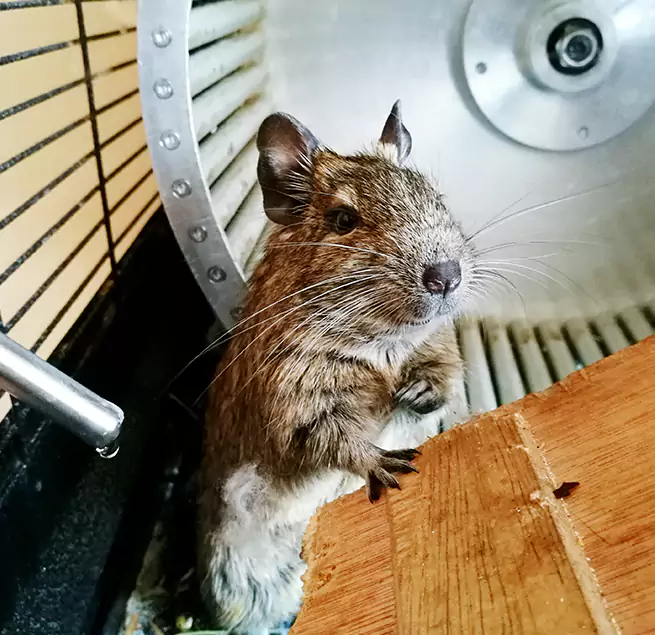 Why Homeowners & Businesses Trust Us South Salt Lake, UT?