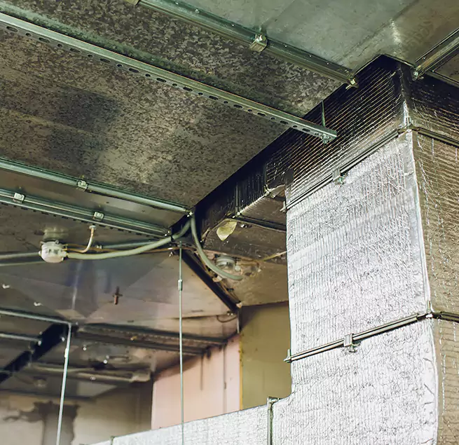 Why Homeowners & Businesses Trust Us in South Salt Lake, UT?